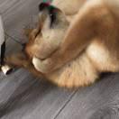 城岚的个人资料头像