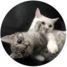 mayer84760的个人资料头像