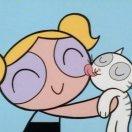 鱼豆腐不是豆腐的个人资料头像