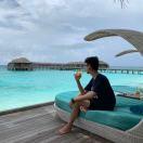 Peleus的个人资料头像