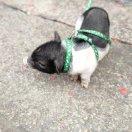 lcwben84940的个人资料头像