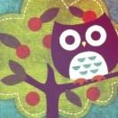 owl本尊的个人资料头像