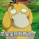 大熊爱学习85034的个人资料头像