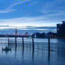 丶的个人资料头像