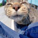 _li的个人资料头像