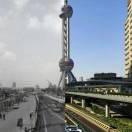 mustang野马的个人资料头像