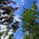 平湖的个人资料头像