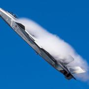 1v9的个人资料头像