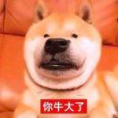 我的很大_你忍一下的个人资料头像