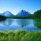 北国的雪的个人资料头像