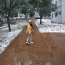 Rise同志的个人资料头像