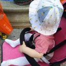 郑杰就是我的个人资料头像