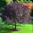 Underwater8的个人资料头像