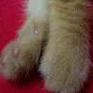 春暖花开季的个人资料头像