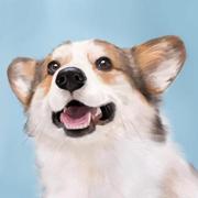 ahojcn的个人资料头像