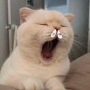 超君85277的个人资料头像