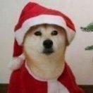 南巷本尊的个人资料头像