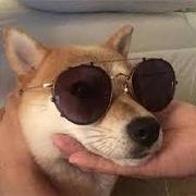 ChenGuoOwO的个人资料头像