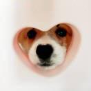 Antares同志85349的个人资料头像