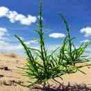 Johnny本尊85373的个人资料头像