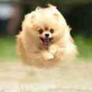 风一样的女子的个人资料头像