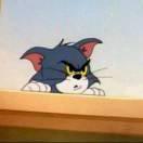 菠萝85449的个人资料头像