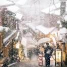 Adair酱85460的个人资料头像