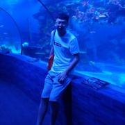 lxqxsyu的个人资料头像