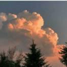 爱意在夜里翻墙的个人资料头像