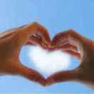 AngelSeeLove的个人资料头像