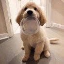 Lv在掘金85545的个人资料头像