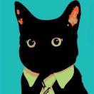 聪明的羽毛的个人资料头像