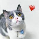 不想说话85570的个人资料头像