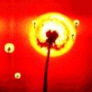 juice本尊的个人资料头像