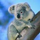 高彩琼的个人资料头像