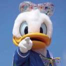 人生无处不青山的个人资料头像