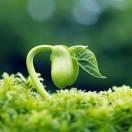 在掘金85764的个人资料头像