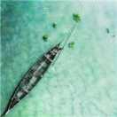 袁平的个人资料头像