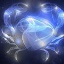 王远征的个人资料头像