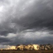 码农老张的个人资料头像