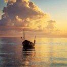 自由的心同学的个人资料头像