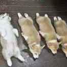 让本能飞的个人资料头像