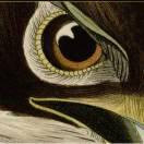 85991的个人资料头像