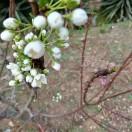 有你真好重名了的个人资料头像