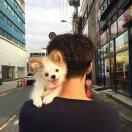 MrWEI86034的个人资料头像