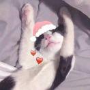 YouR丶的个人资料头像