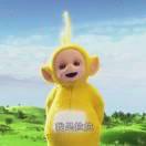 小磊子本尊的个人资料头像