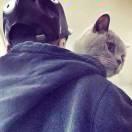 封封丷的个人资料头像