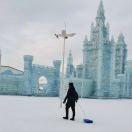 sucri的个人资料头像