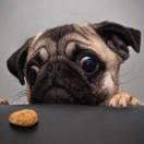 嗨橙的个人资料头像